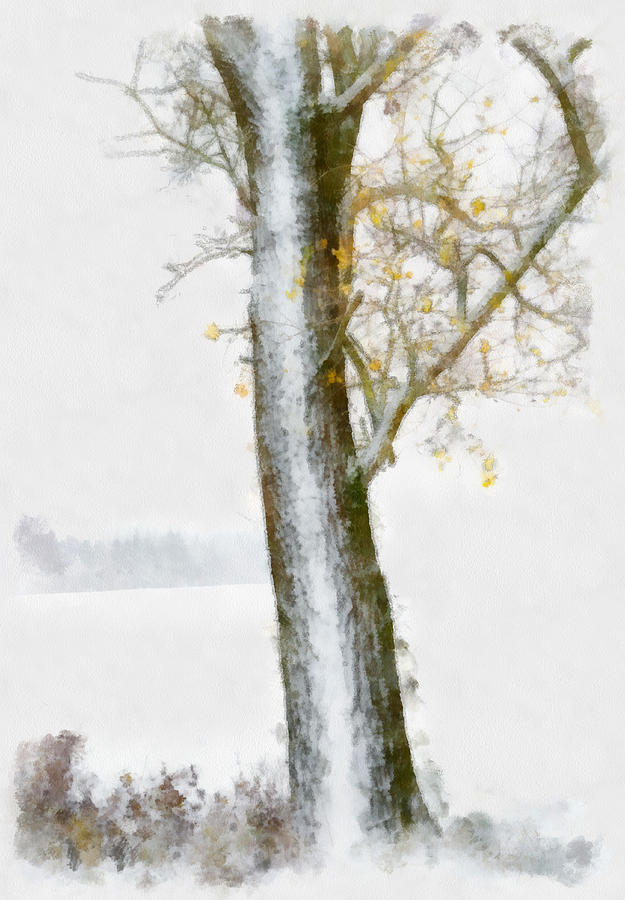 Tree with autumn leaves in the snow - Aquarell Digital Art by Matthias Hauser