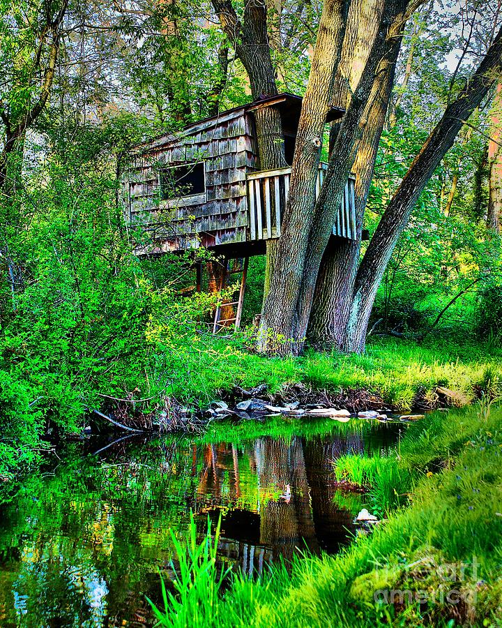 Treehouse by the water Photograph by Nick Zelinsky Jr