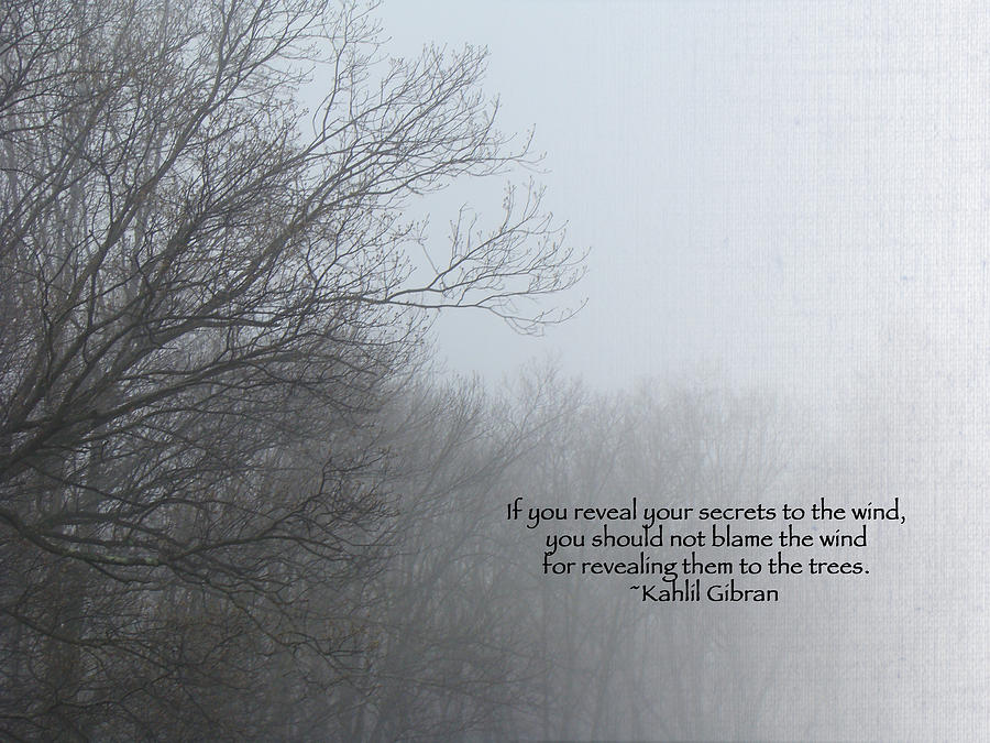 Trees and Fog and Khalil Gibran Quote Photograph by Carol Senske