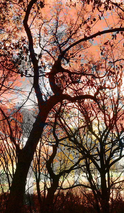 Trees and Paint Digital Art by Anita Burgermeister