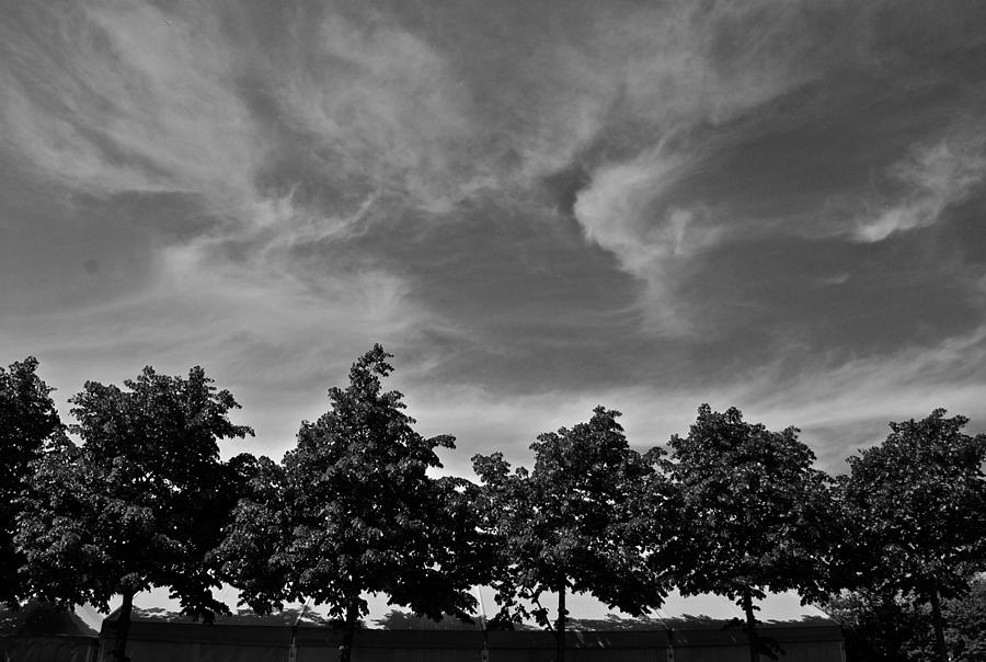 Trees and Sky Photograph by Eric Tressler