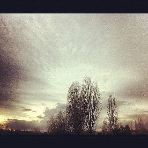 Winter Photograph - #trees #clouds #cloudy #skyline by Karen Clarke