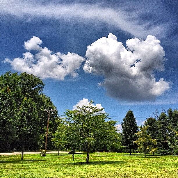 Summer Photograph - #trees #clouds #sky #blue #kentucky by Amber Flowers
