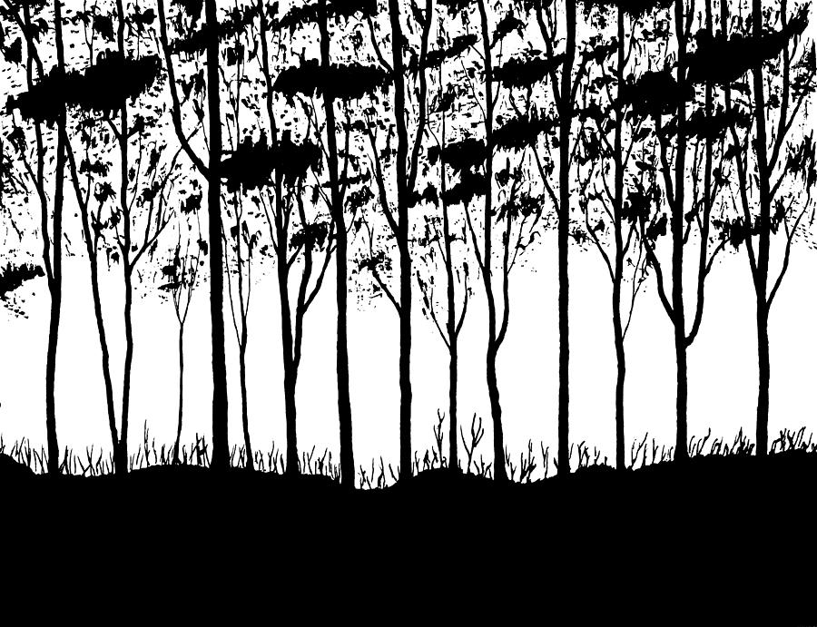 Tree Drawing - Trees curtain  by Marwan Hasna - Art Beat