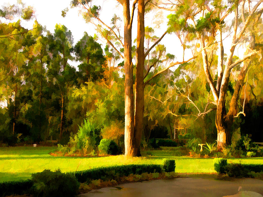 Trees in the late afternoon sun 1 Digital Art by Fran Woods