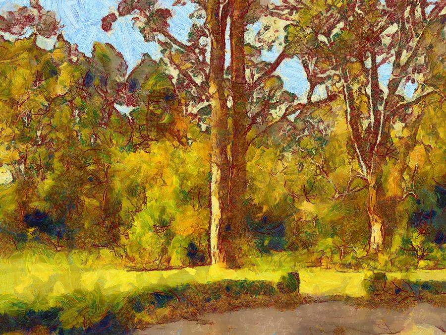 Trees in the late afternoon sun 2 Digital Art by Fran Woods