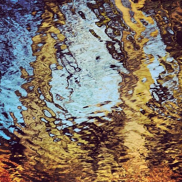 Abstract Photograph - #trees #reflecting In The #water by Linandara Linandara