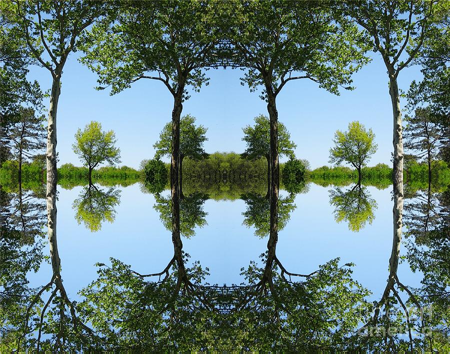 Trees Squared Digital Art by Dale   Ford
