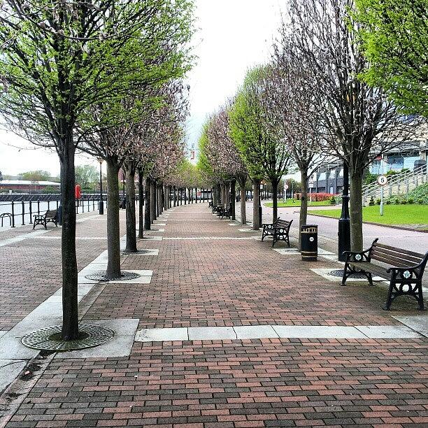 Salford Photograph - #trees #walking #salfordquayes #salford by Abdelrahman Alawwad Salford Photograph - #trees #walking #salfordquayes #salford by Abdelrahman Alawwad
