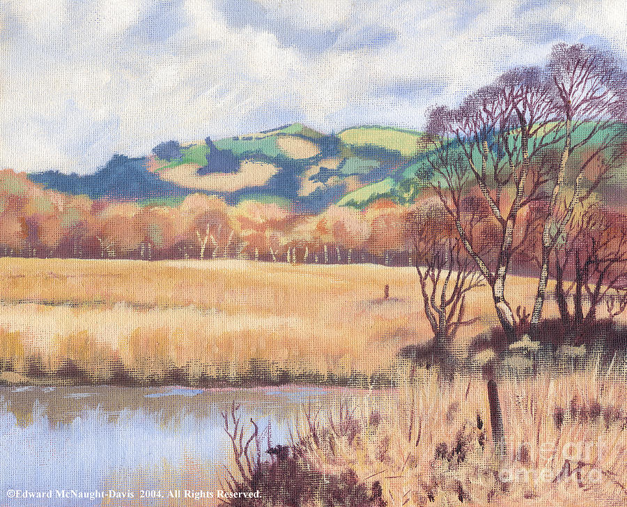 Cors Caron Nature Reserve Tregaron Painting Painting by Edward McNaught-Davis