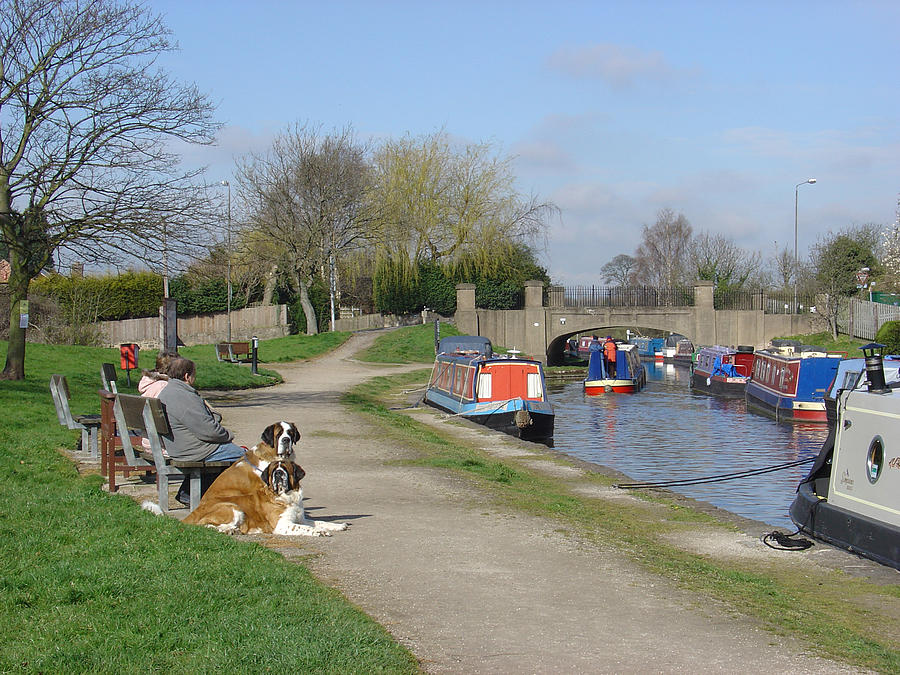 Trent and Mersey Canal - Willington Photograph by Rod Johnson
