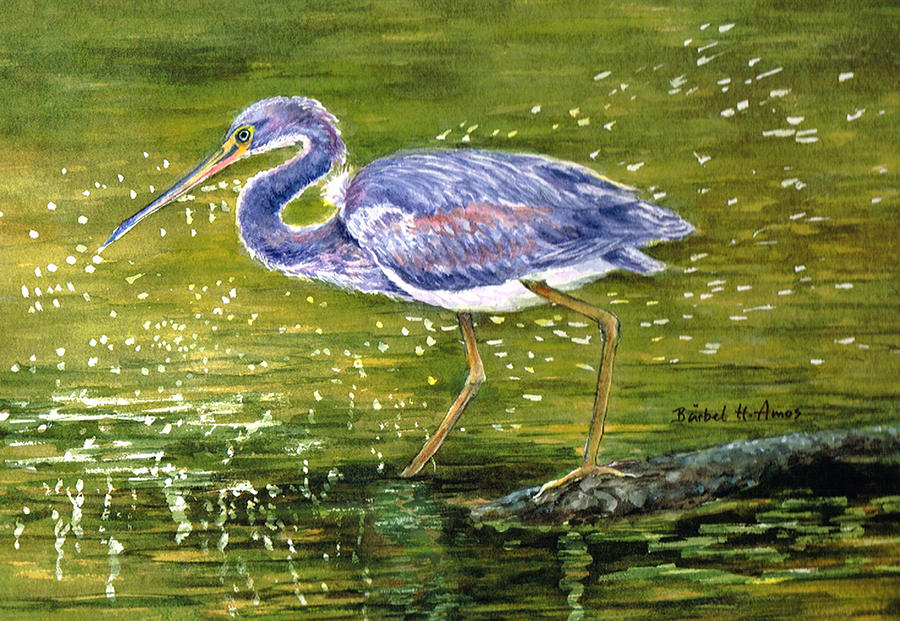 Tri Colored Heron Painting by Barbel Amos