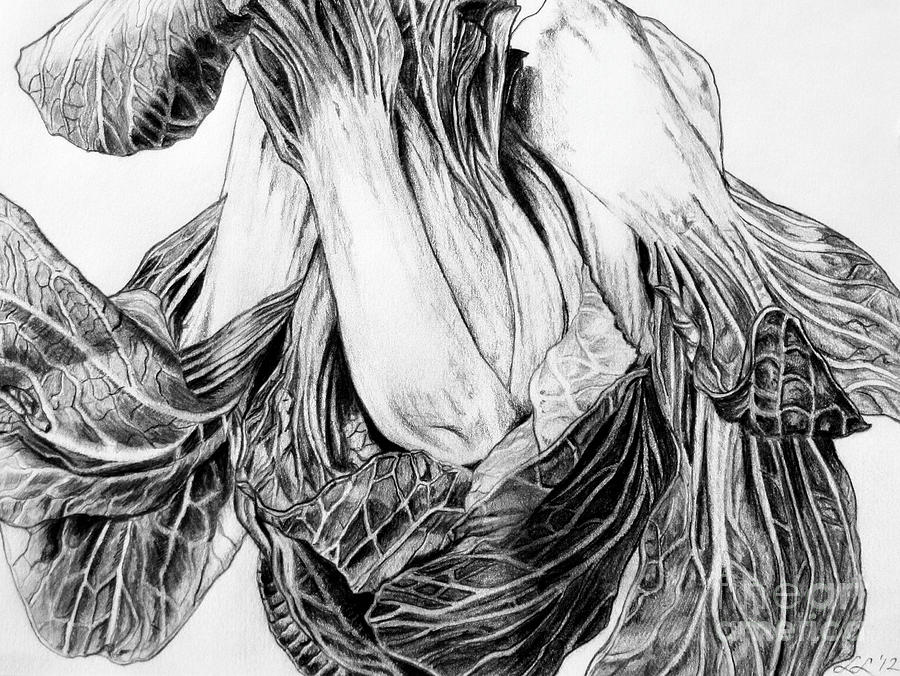 Still Life Drawing - Triad Study by Lori Lutkenhaus Still Life Drawing - Triad Study by Lori Lutkenhaus
