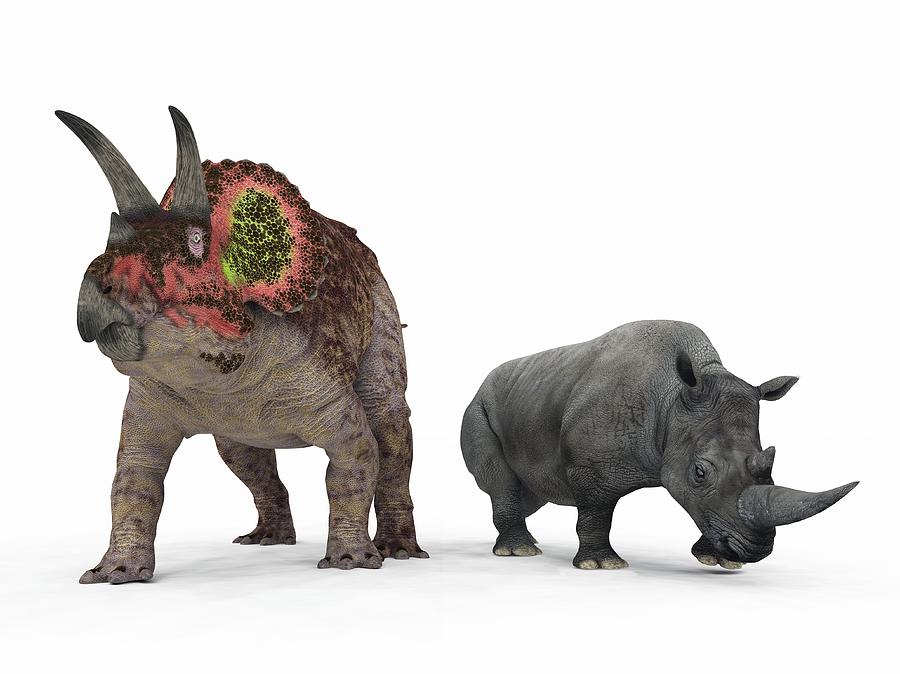 Prehistoric Photograph - Triceratops Dinosaur And Rhino by Walter Myers