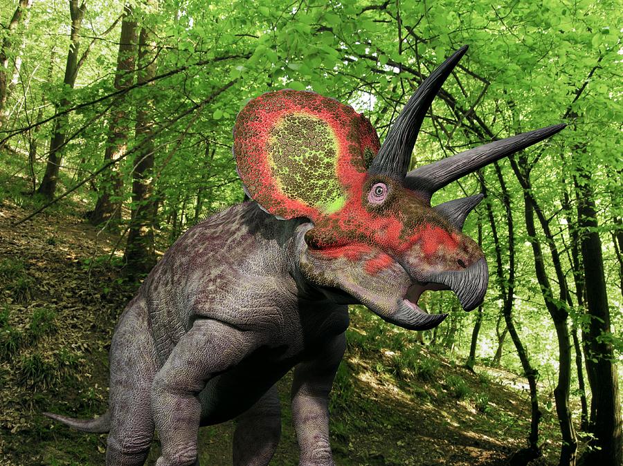 Prehistoric Photograph - Triceratops Dinosaur, Artwork by Walter Myers