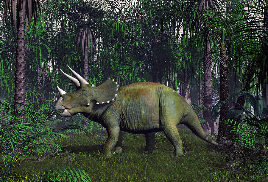 Triceratops Dinosaur Digital Art by Walter Colvin