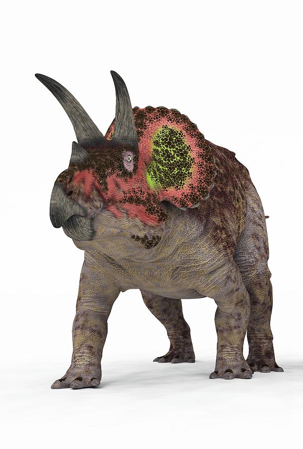 Prehistoric Photograph - Triceratops Dinosaur by Walter Myers