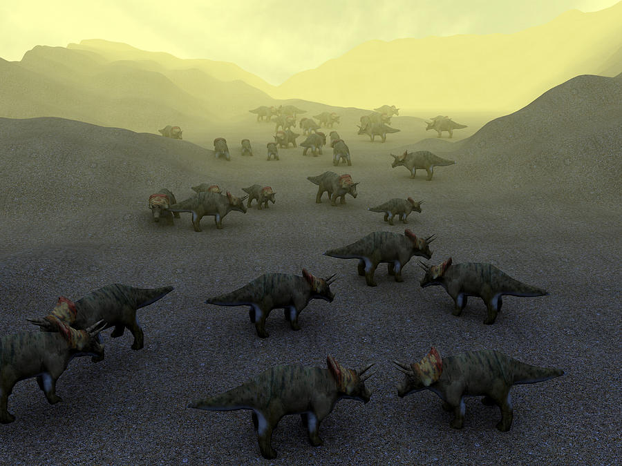 Prehistoric Photograph - Triceratops Dinosaurs by Christian Darkin