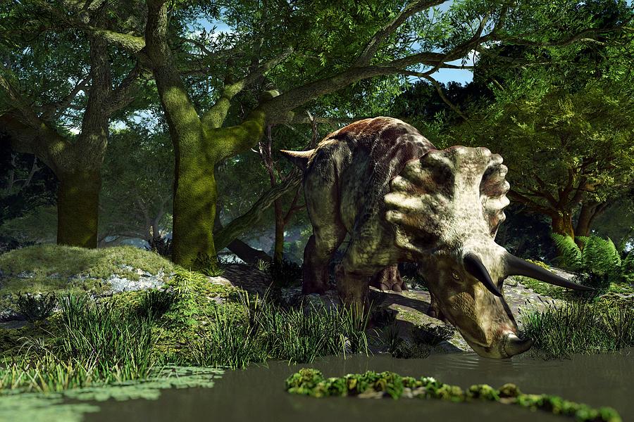 Prehistoric Photograph - Triceratops Drinking At A Pond, Artwork by Roger Harris