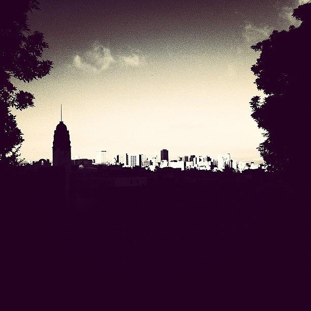 Sanfrancisco Photograph - Tried & True View. #dolorespark by Monica Flores