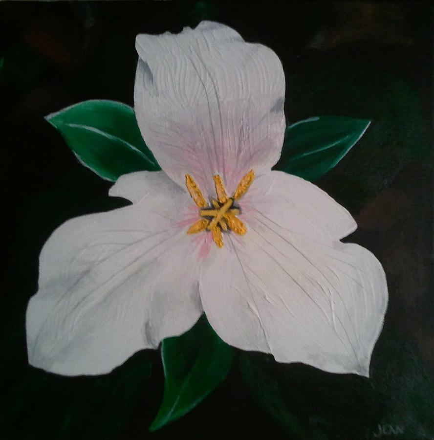 Flowers Still Life Painting - Trillium Captured in Acrylic by Jean Kieffer