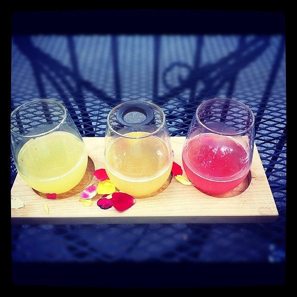 Peach Photograph - #trio Of #mimosas? Yes, Please by Chelsea Daus