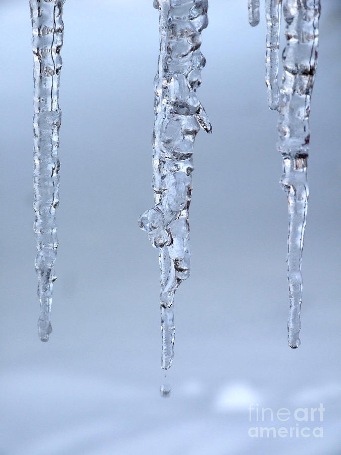 Triple Icicles Photograph by Kristen Fox