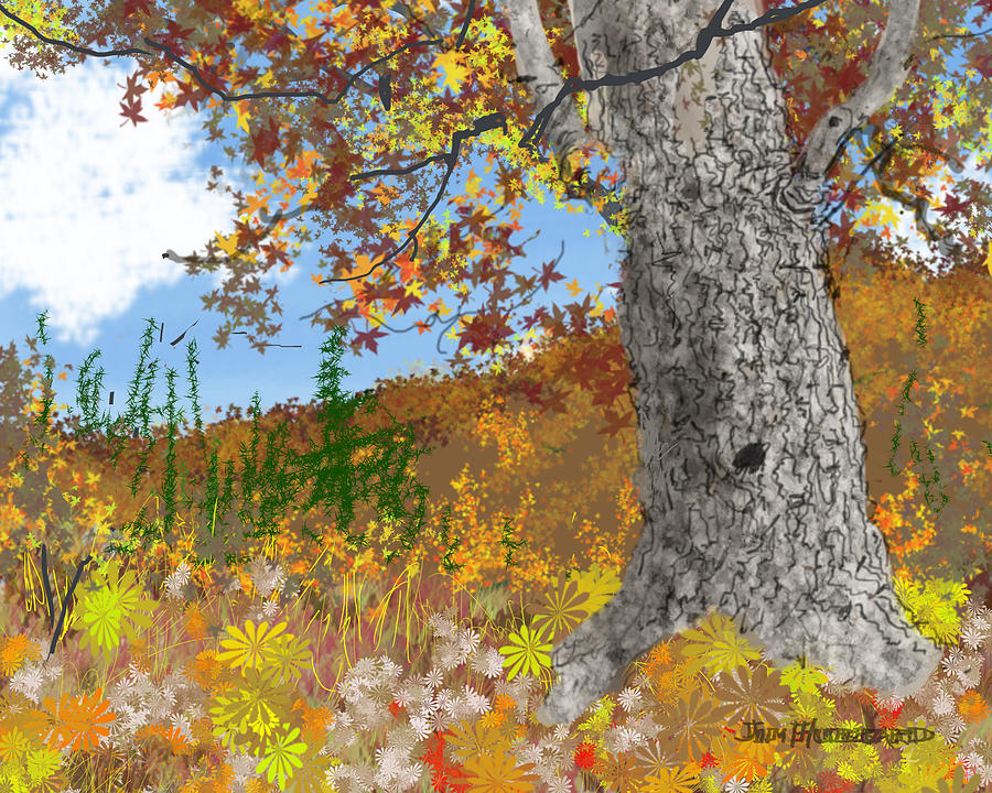 Realistic Fall Tree Drawing