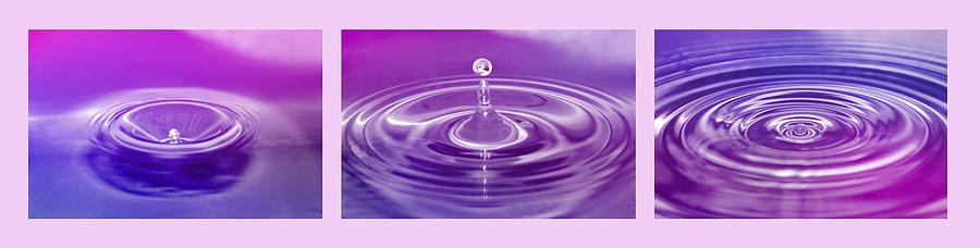 Triptych Water Drops In Purple And Pink Photograph
