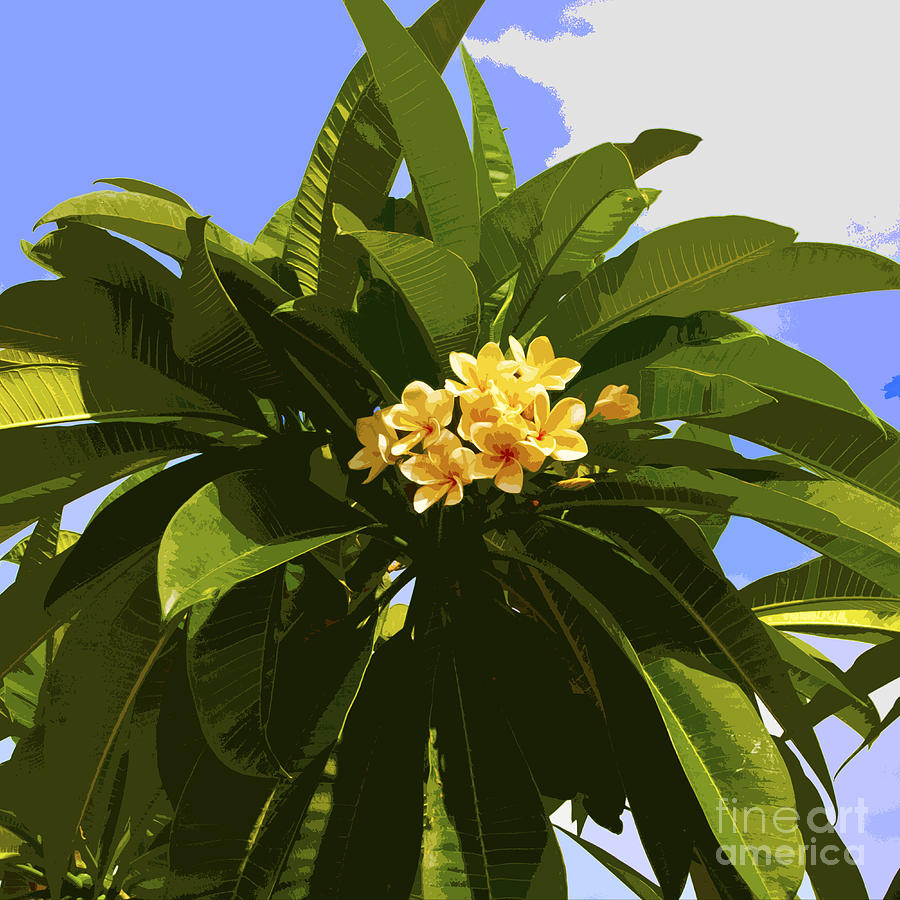 Flower Painting - Tropic Blooming by Allan  Hughes