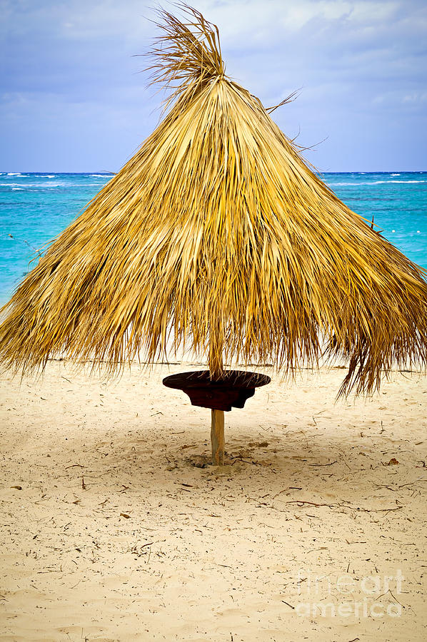 Holiday Photograph - Tropical beach umbrella by Elena Elisseeva