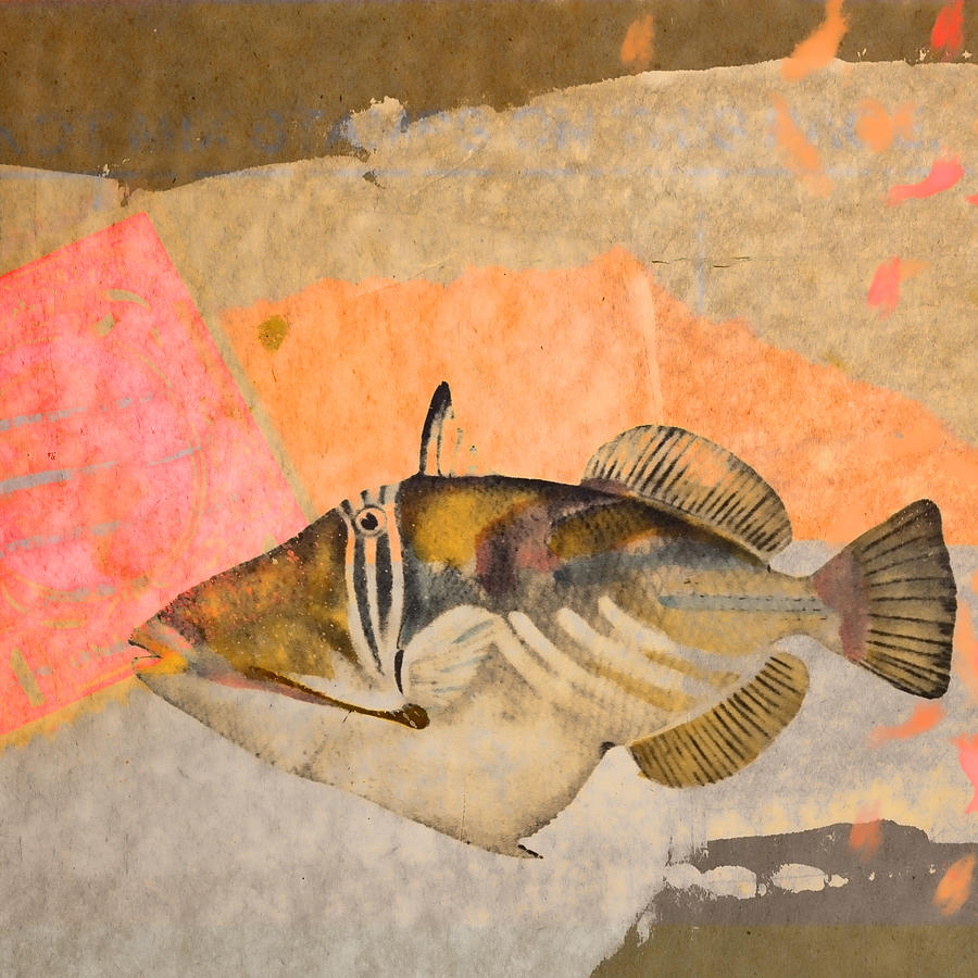 Fish Photograph - Tropical Dream Number 2 Square Format by Carol Leigh
