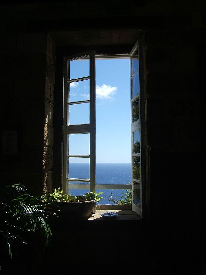 Window Photograph - Tropical Elegance by Patricia Williams