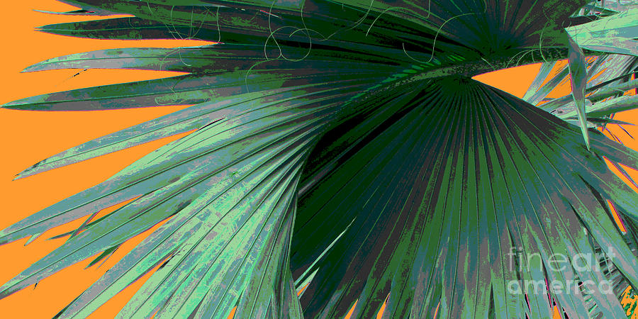 Tropical Palm Grand Cayman Photograph by Ann Powell
