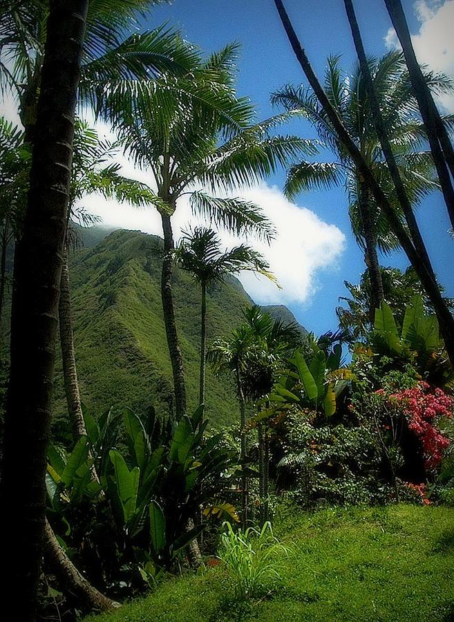 Tropical Paradise Photograph by Lori Seaman