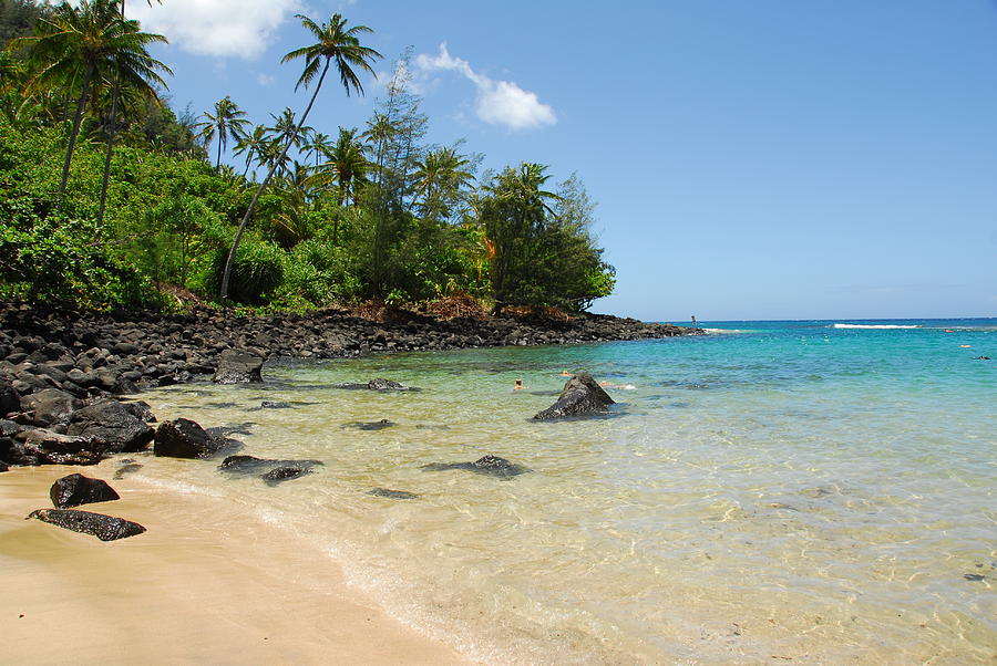 Tropical Paradise Photograph by Lynn Bauer