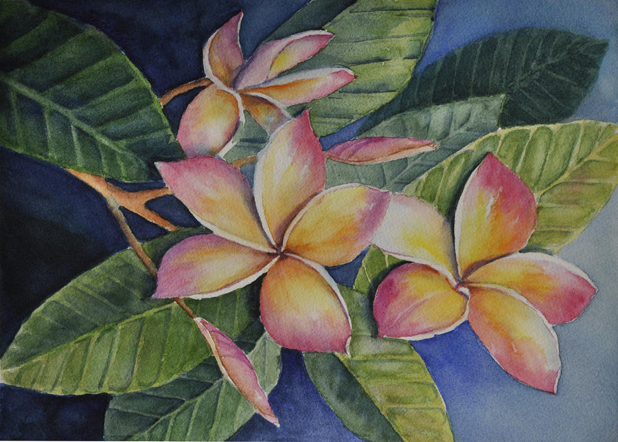 Tropical Plumerias Painting by Sandy Fisher
