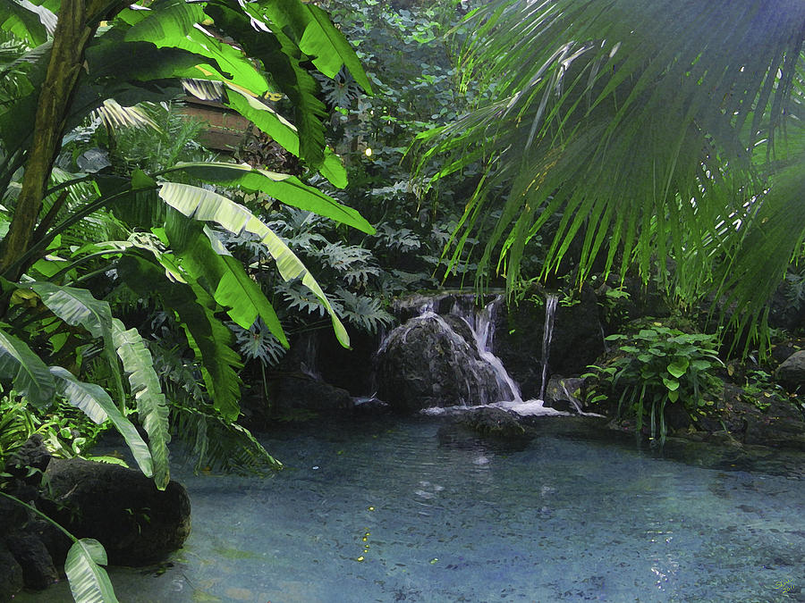 Tropical Pool Digital Art