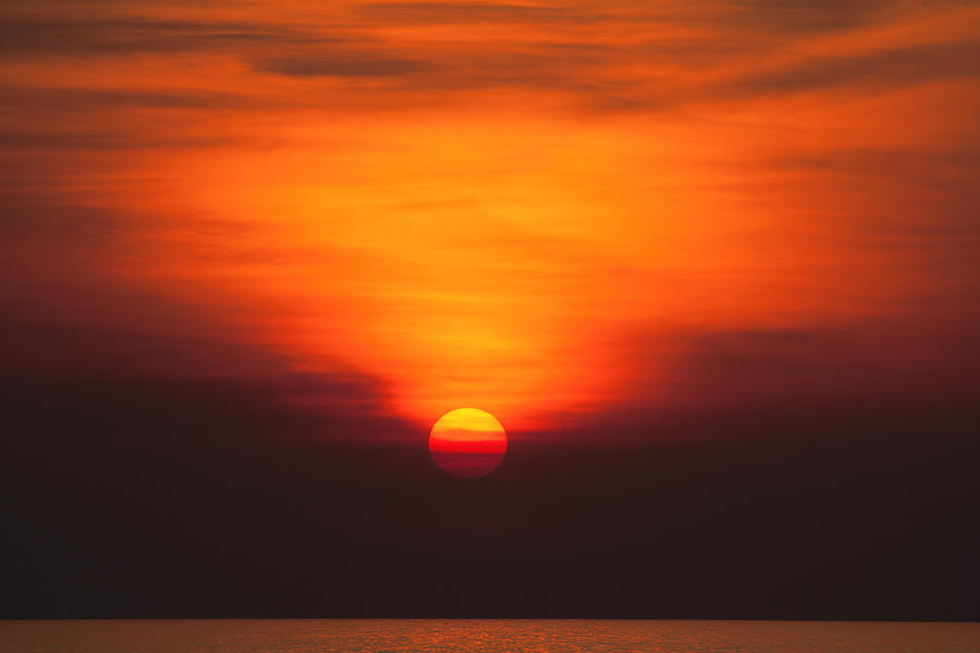 Tropical Sun V3 Photograph by Douglas Barnard