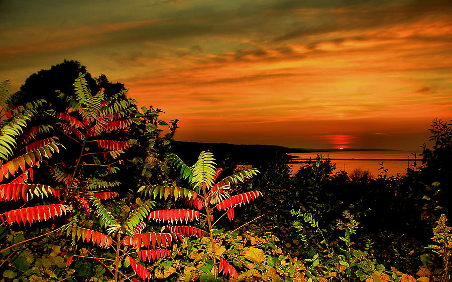 Tropical Sunset in Michgan Photograph by Matthew Winn