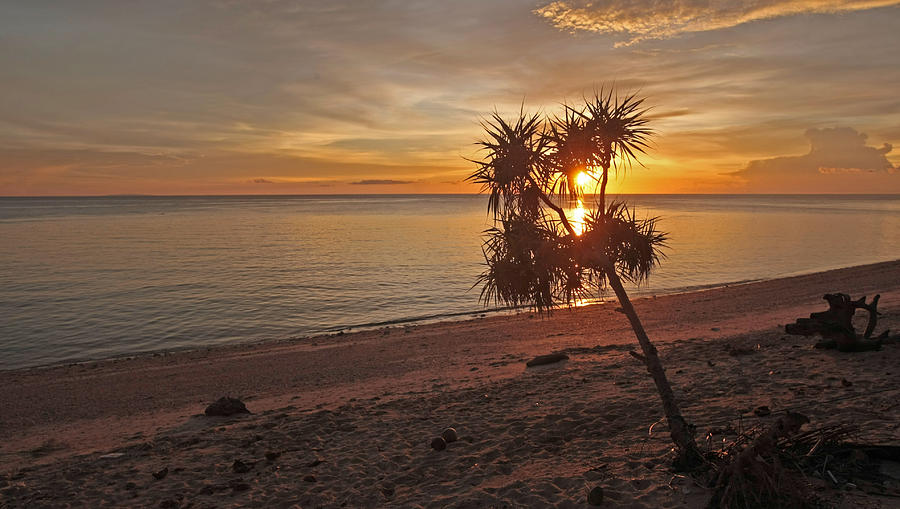 Sunset Photograph - Tropical Sunset by Tamas Virag