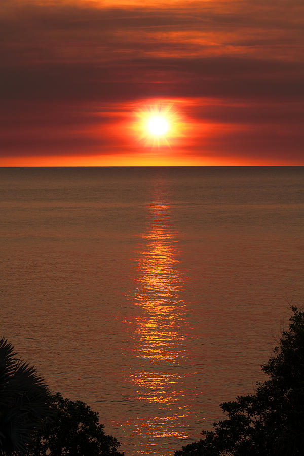 Tropical Sunset V2  Photograph by Douglas Barnard