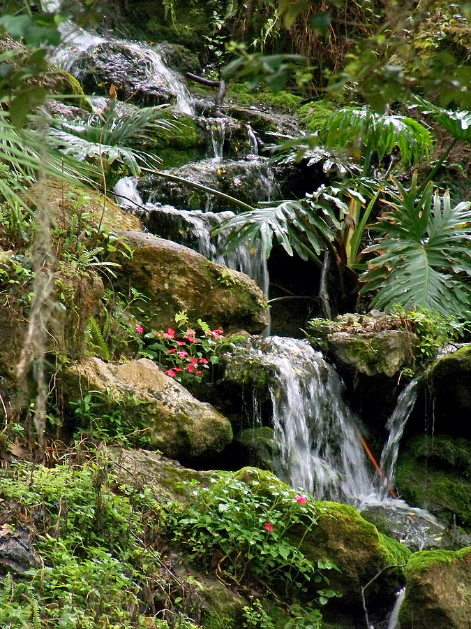 Tropical Waterfall Photograph by Judy Wanamaker
