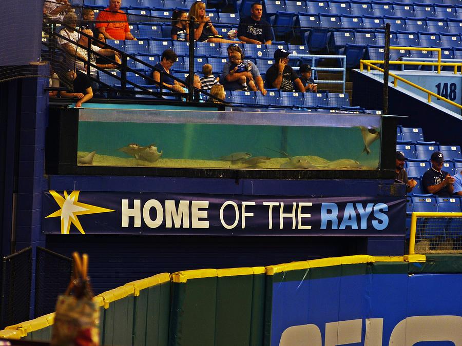 The rays are returning to Tropicana Field's outfield tank - Axios