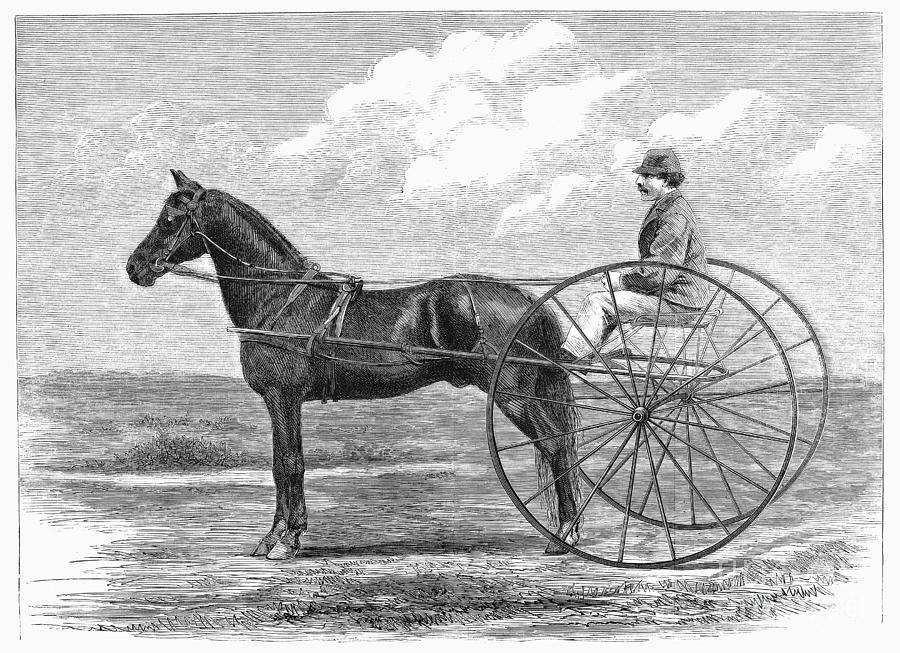 Horse Photograph - Trotting Horse, 1867 by Granger