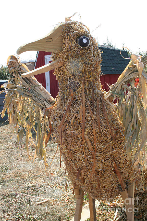 Nature Photograph - Truly A Scarecrow by Susan Herber