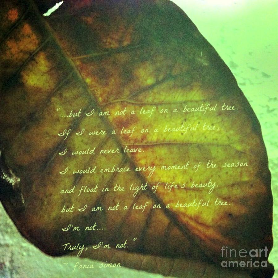 Truly Im Not a Leaf On a Beautiful Tree Mixed Media by Fania Simon