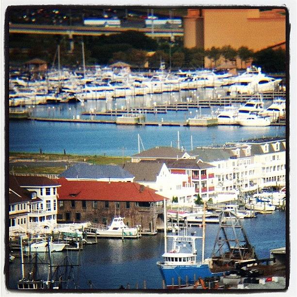 Boat Photograph - Trump Marina
...from 30th Floor Of My by Tim Paul