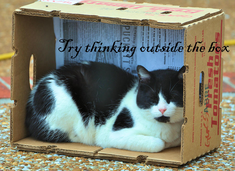 Try Thinking Outside The Box Photograph by Jan Amiss Photography