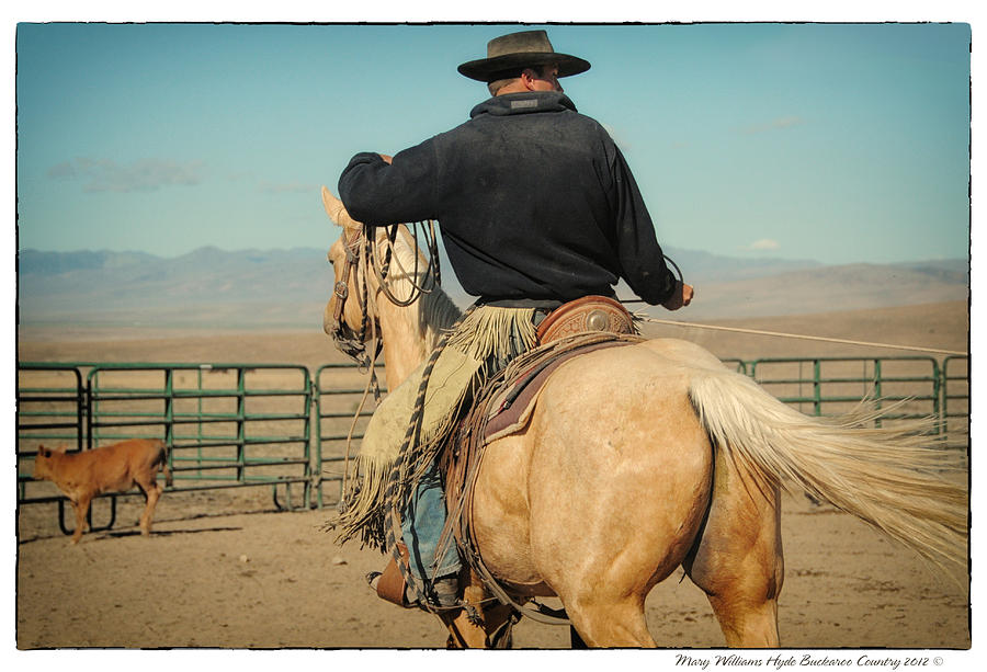 TS Ranch Nevada Clint Riggins Photograph by Mary Williams Hyde - Fine ...